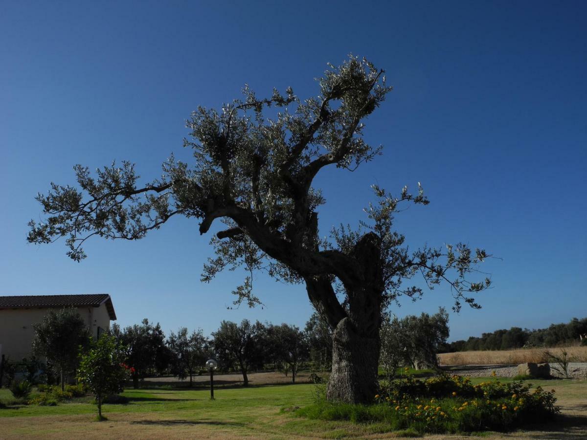 Agriturismo Is Solinas Masainas Εξωτερικό φωτογραφία